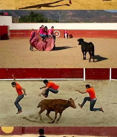 Apartment Puerta Zamora, Centro, Wifi Con Salon Y 2 Dormitorios, Parking Salamanca