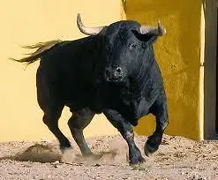 Puerta Zamora, Centro, Wifi Con Salon Y 2 Dormitorios, Parking 아파트 살라망카